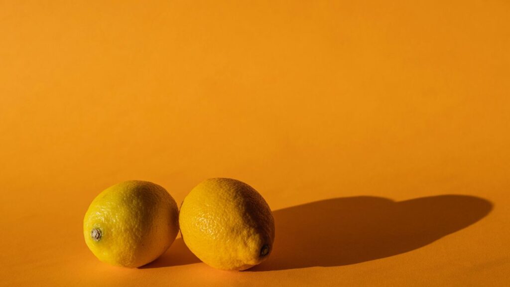 Lime Torrents Filesharing Under Scrutiny