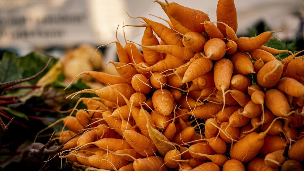 The Nutrition Behind Carrot