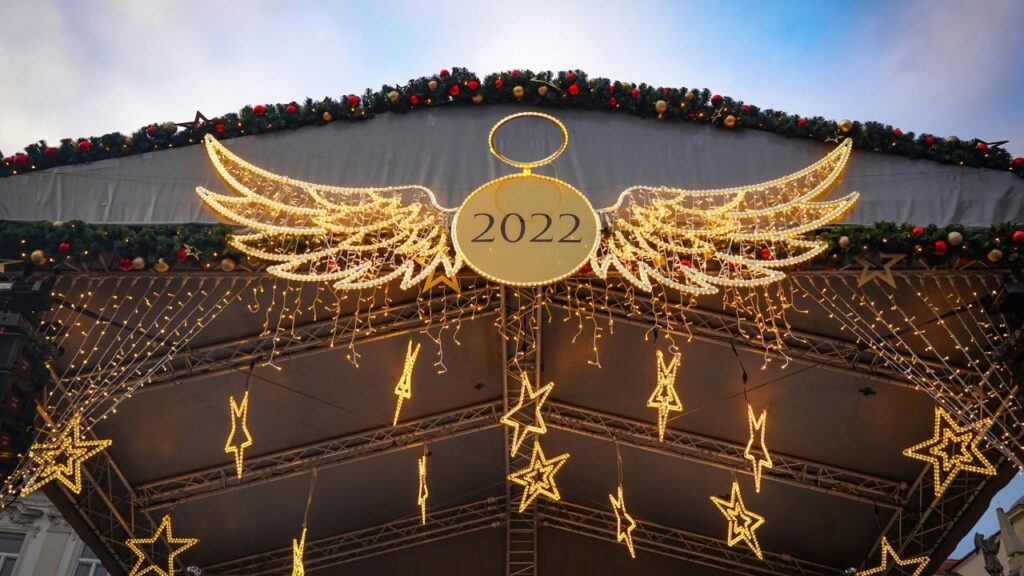 Why Blue Stars Shine in 2025 Backyards