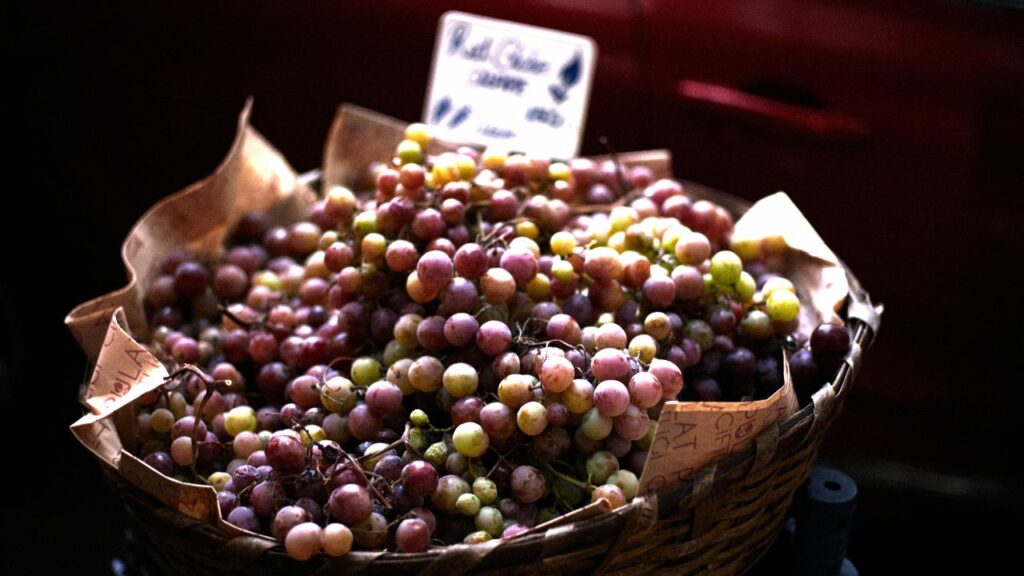 Just Turkey The Health Aspects