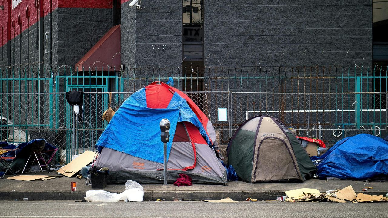 Pets of the Homeless Companions in Crisis