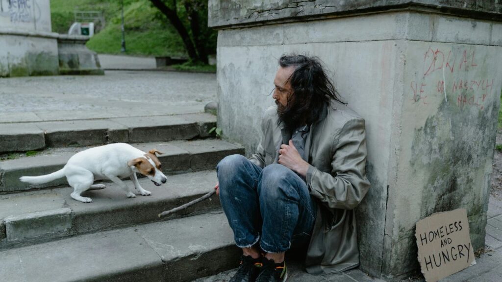 Pets of the Homeless of Finding Pet-Friendly