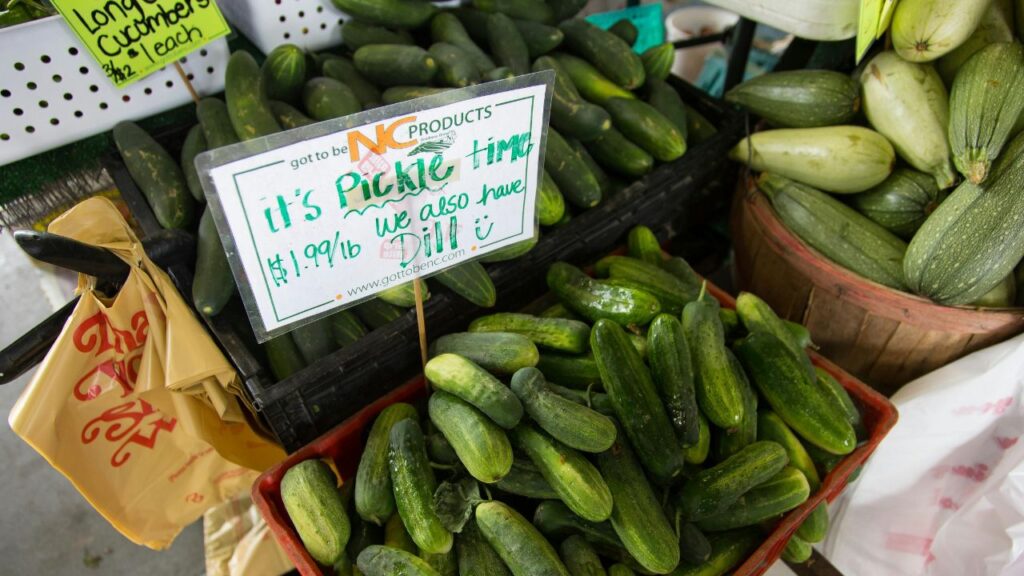 What Makes a Pickle The Biggest