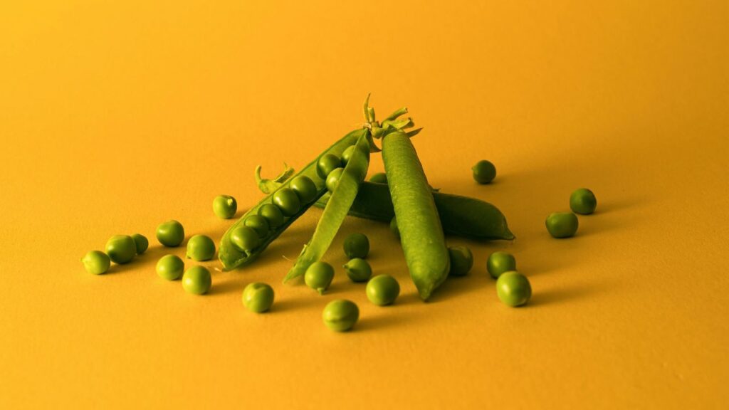 Yellow Peas Are a Sustainable Food Choice