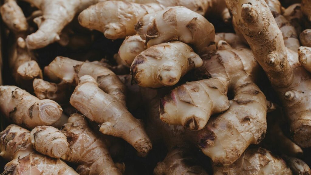 What Is Yacon Root Origin and Uses Explained