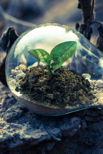 ST Babyspullen Alles Wat Je Moet Weten Voor Een Goede Start